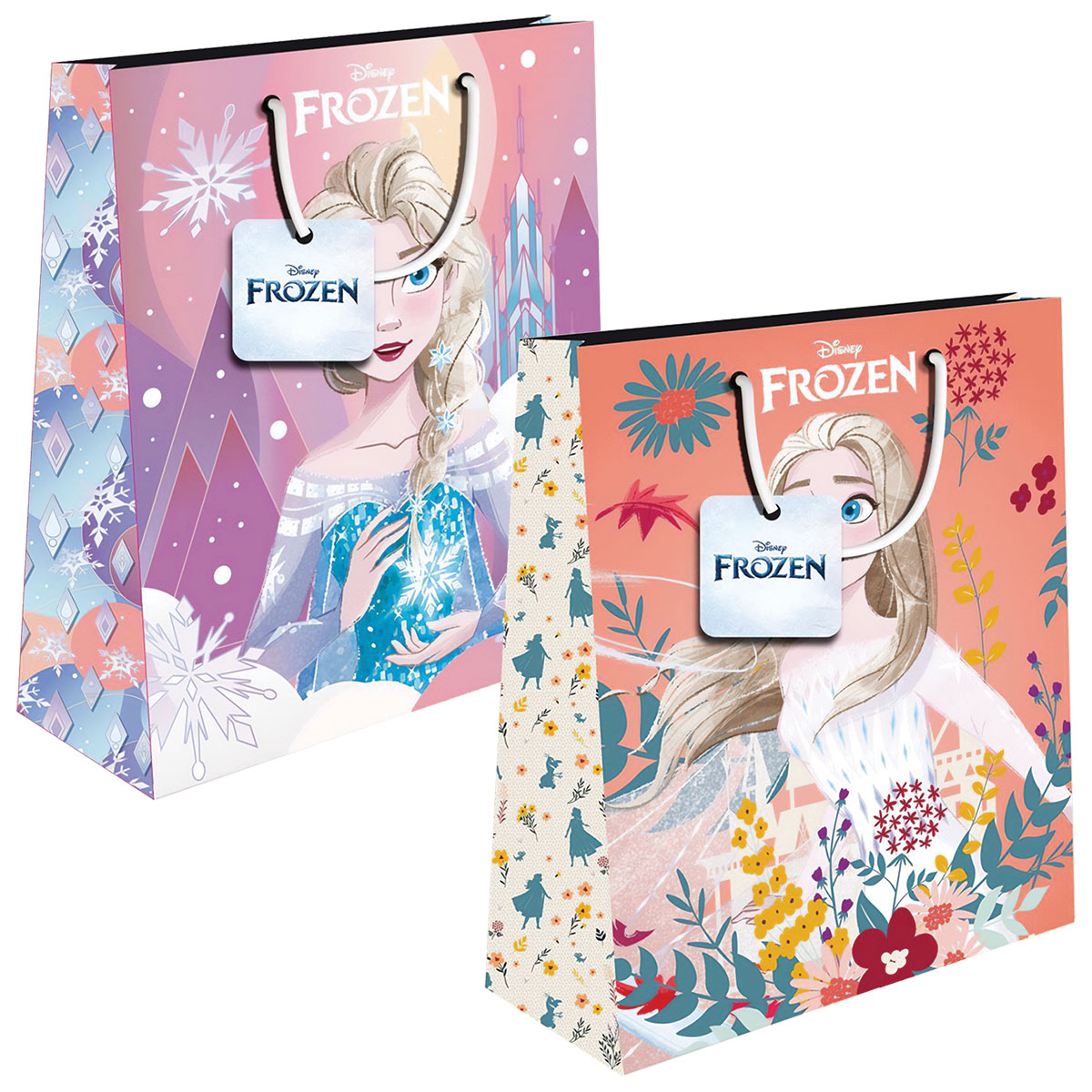 FROZEN-Saco Prenda-Grande-33x45x10cm-2 Designs