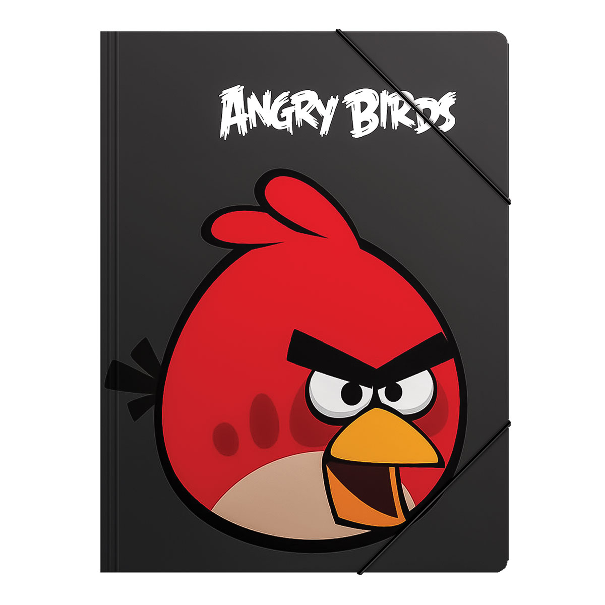 ANGRY BIRDSst-Capa A4 cartão com elástico 24x32cm